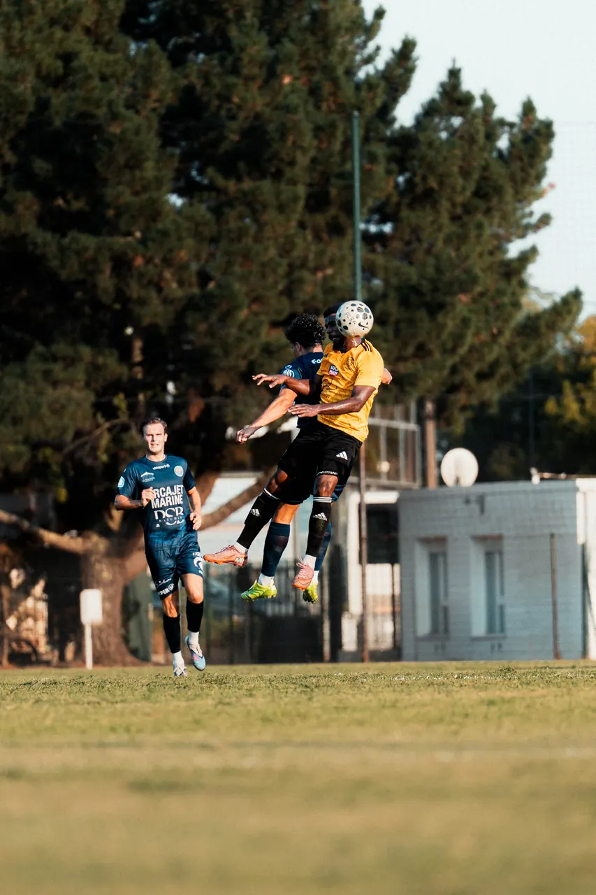 FCBA – Stade Bordelais
